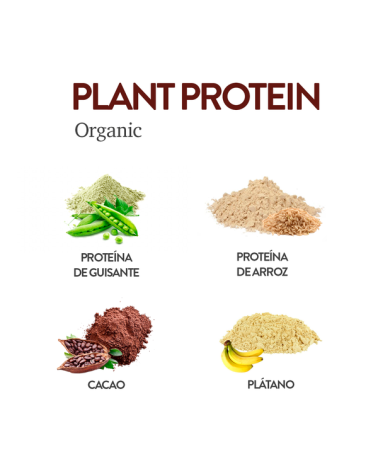 PLANT PROTEIN ORGANIC CACAO 500G