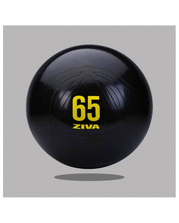 Fitball ZIVA Classic - 65 cm